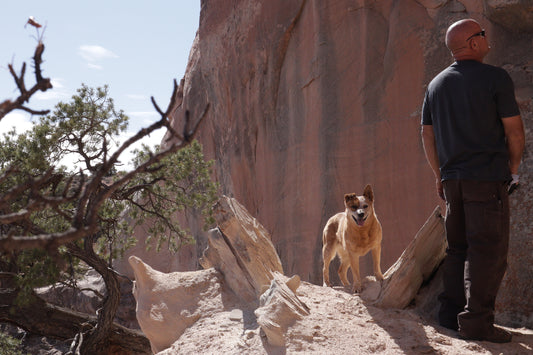The Charcoal Maiden Voyage T-Shirt